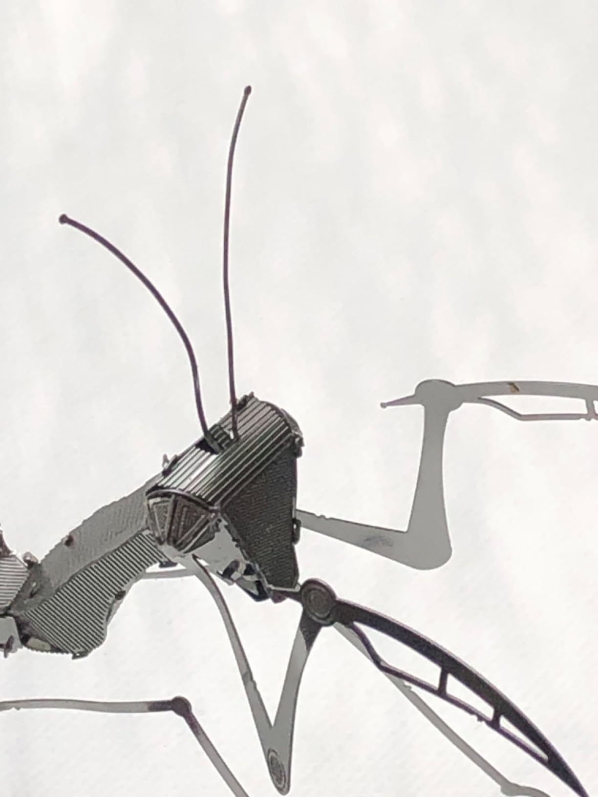 Metal Earth Praying Mantis 3D Kit customer photo 1