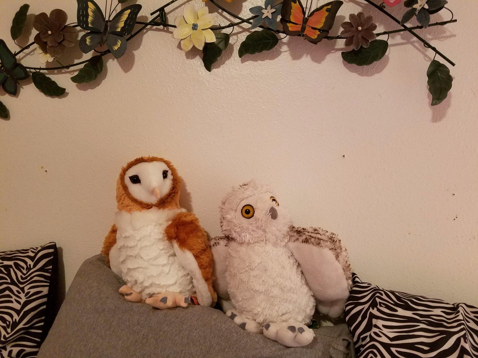 Wild Republic Cuddlekins Barn Owl Stuffed Animal - 12