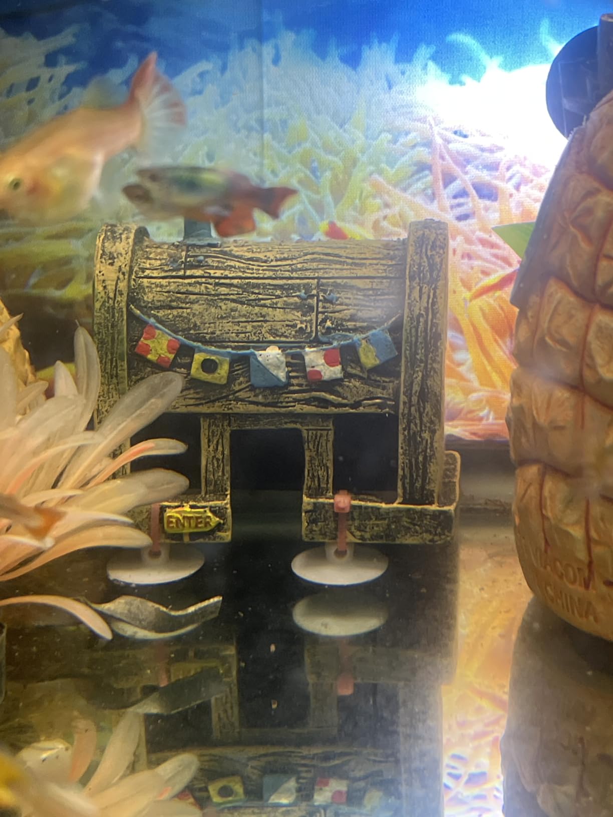 Penn-Plax Officially Licensed SpongeBob 6 Piece Mini Aquarium Ornament Set - Great for Saltwater and Freshwater Tanks customer photo 2