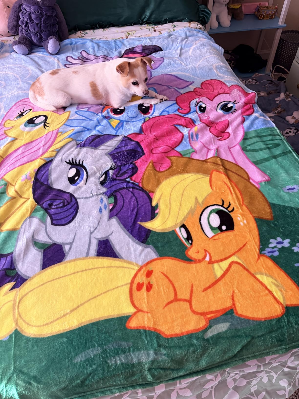 My Little Pony Micro Raschel Throw Blanket, 46