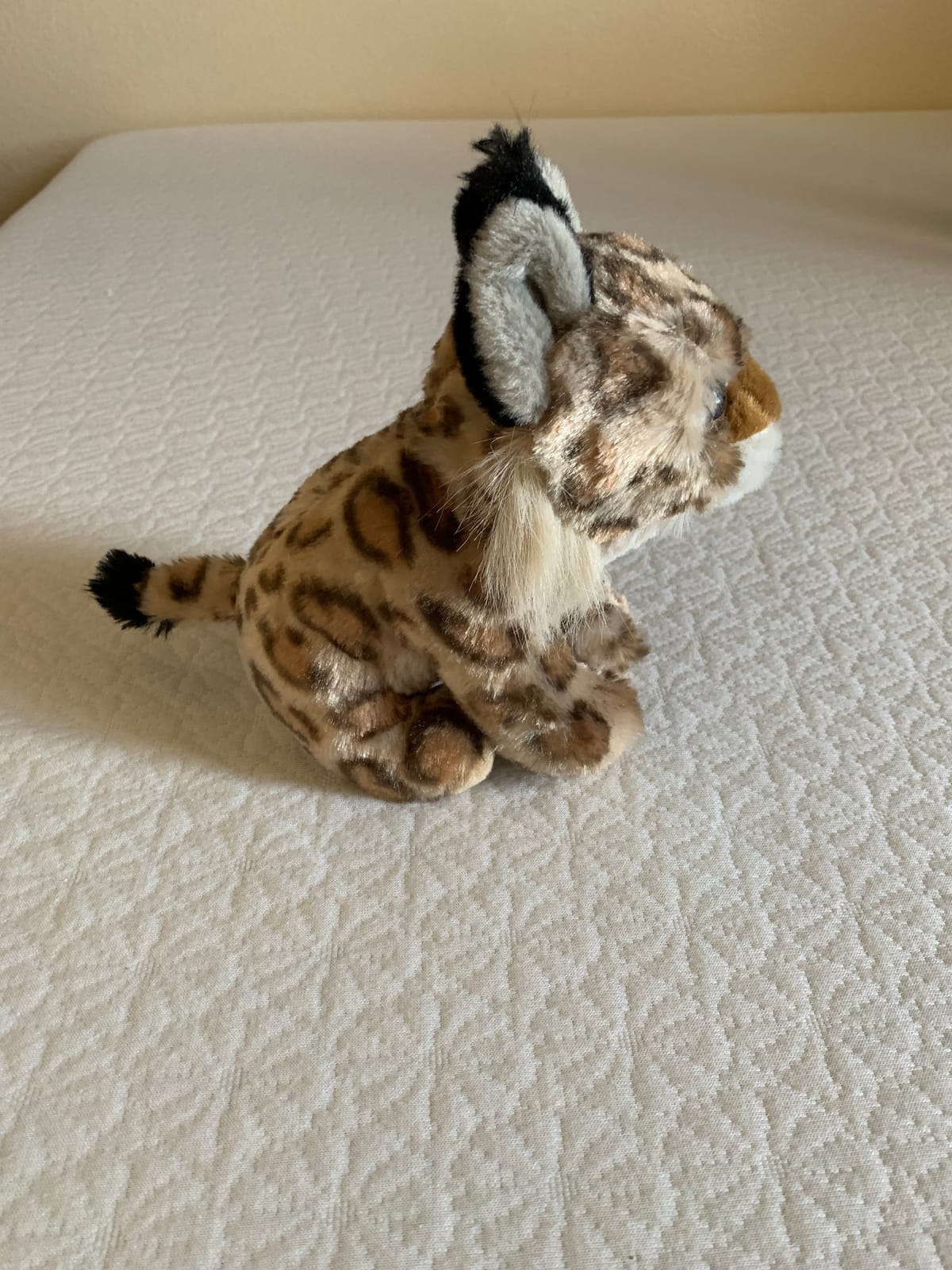 Wild Republic Bobcat Plush, Stuffed Animal, Plush Toy, Gifts for Kids, Cuddlekins, 8 Inches,Multi customer photo 2