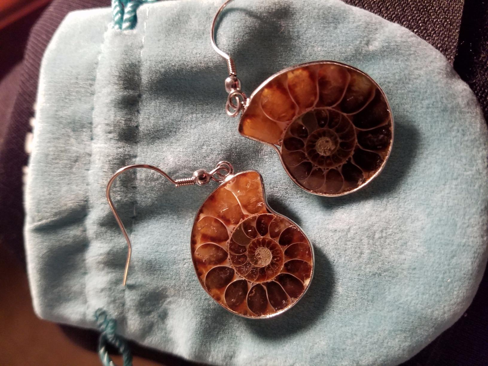 Natural Ammonite Fossil Jewelry Silver Tone Wrapped Pendant Necklace customer photo 2