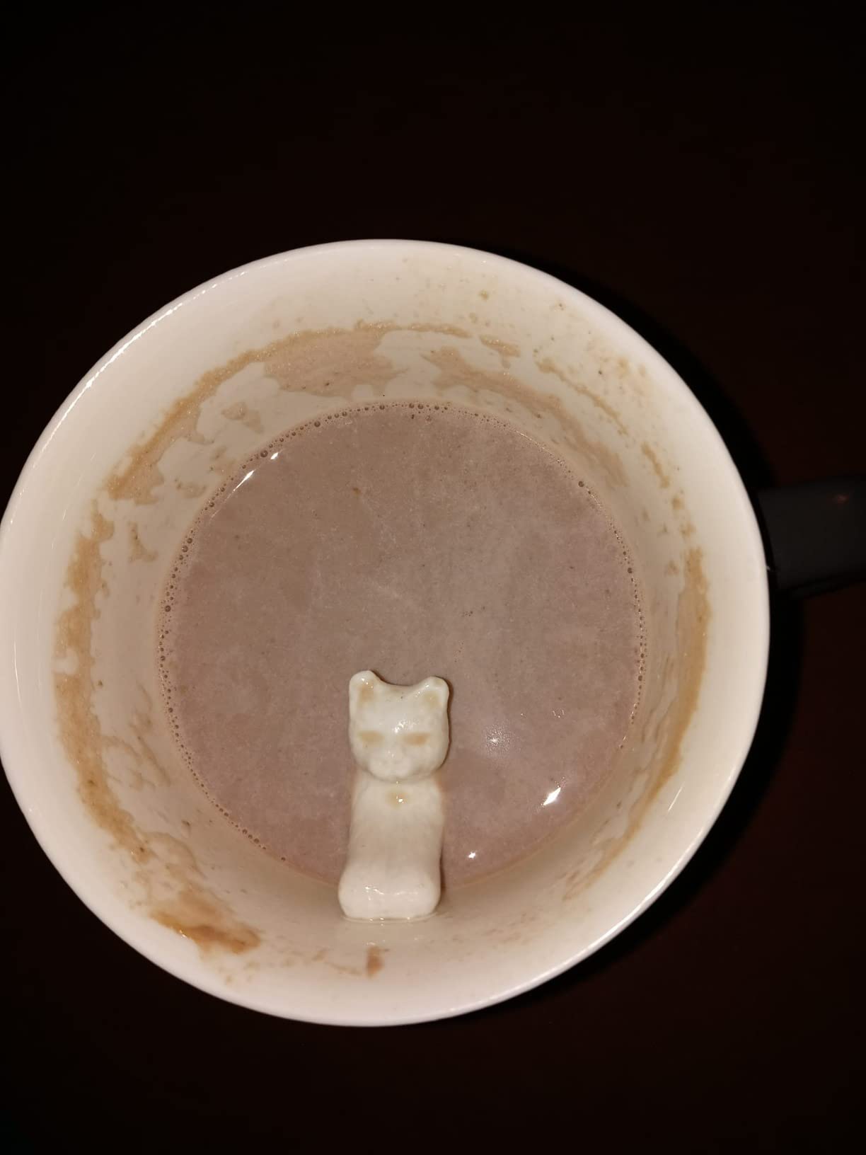 Creature Cups Squirrel - Ceramic Cup 11 oz - Hidden 3D Animal Mug, Gift for Coffee & Tea Lovers customer photo 2