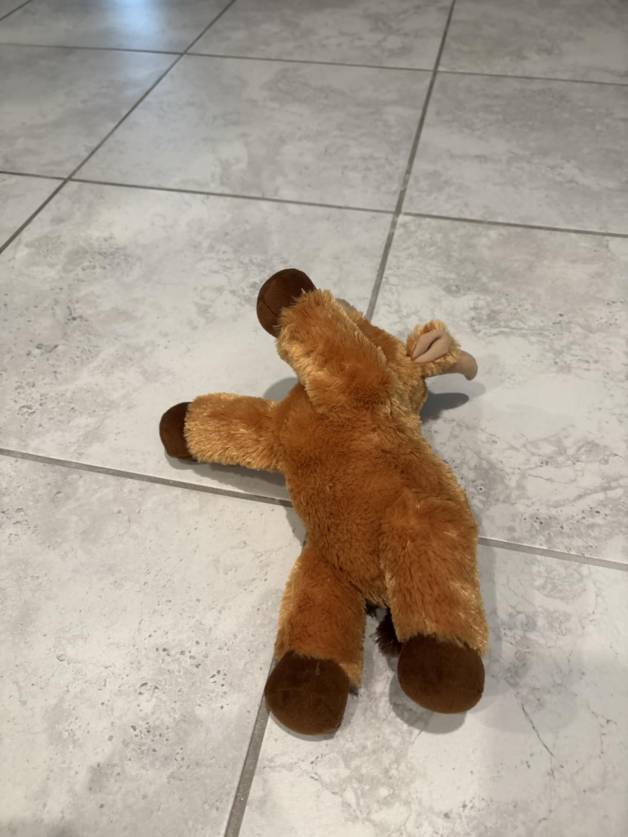 Aurora Flopsie 12