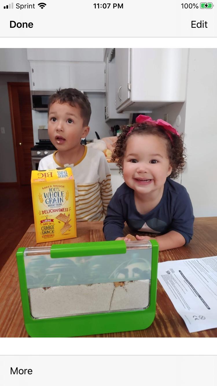 Uncle Milton Ant Farm Antopia Rainforest Ant Habitat - Observe Live Ants - STEM - Nature Learning Toy Green For 6 - 15 years customer photo 1