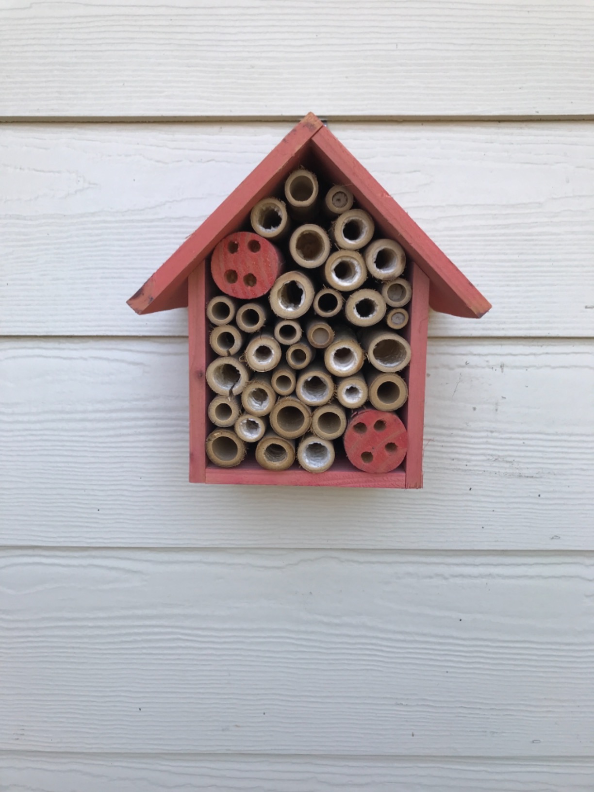 Cestari Mason Bee House Bamboo Tube Solitary Bee Hotel - 75 FSC-Wood & Bamboo Tubes customer photo 1
