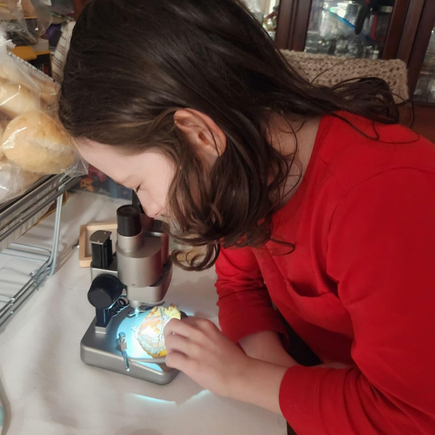 National Geographic Dual LED Kids Microscope - 50+ pc Science Kit with 10 Prepared Slides, STEM Learning, Amazon Exclusive customer photo 1