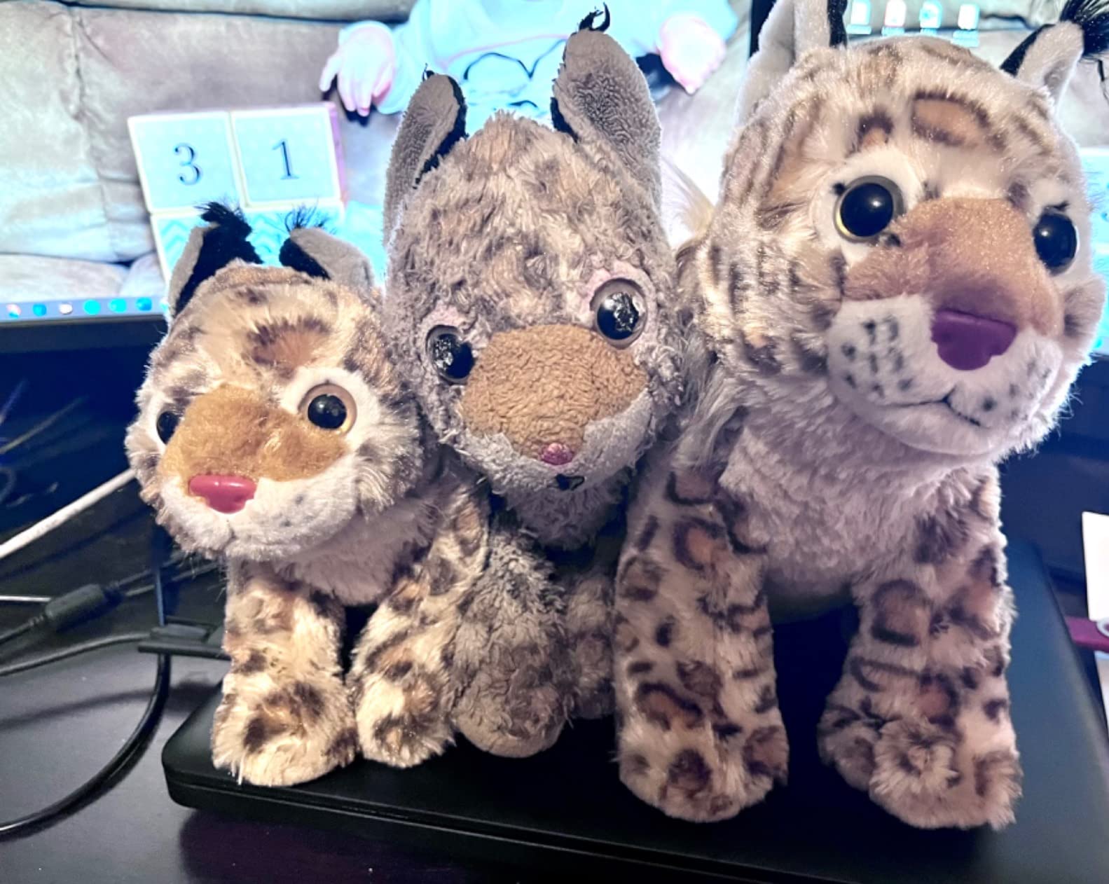 Wild Republic Cuddlekins Lynx Stuffed Animal Plush, 12-Inch customer photo 1