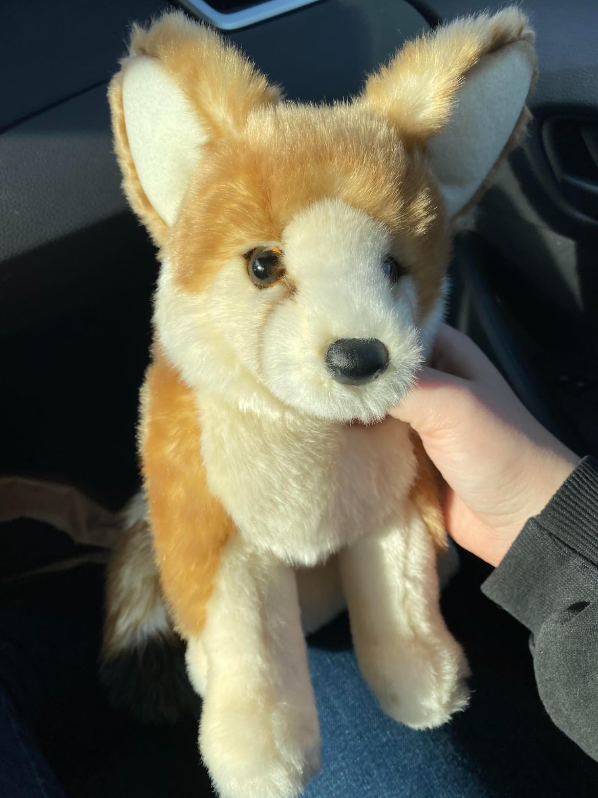 Douglas Sly Fennec Fox Plush Stuffed Animal customer photo 1
