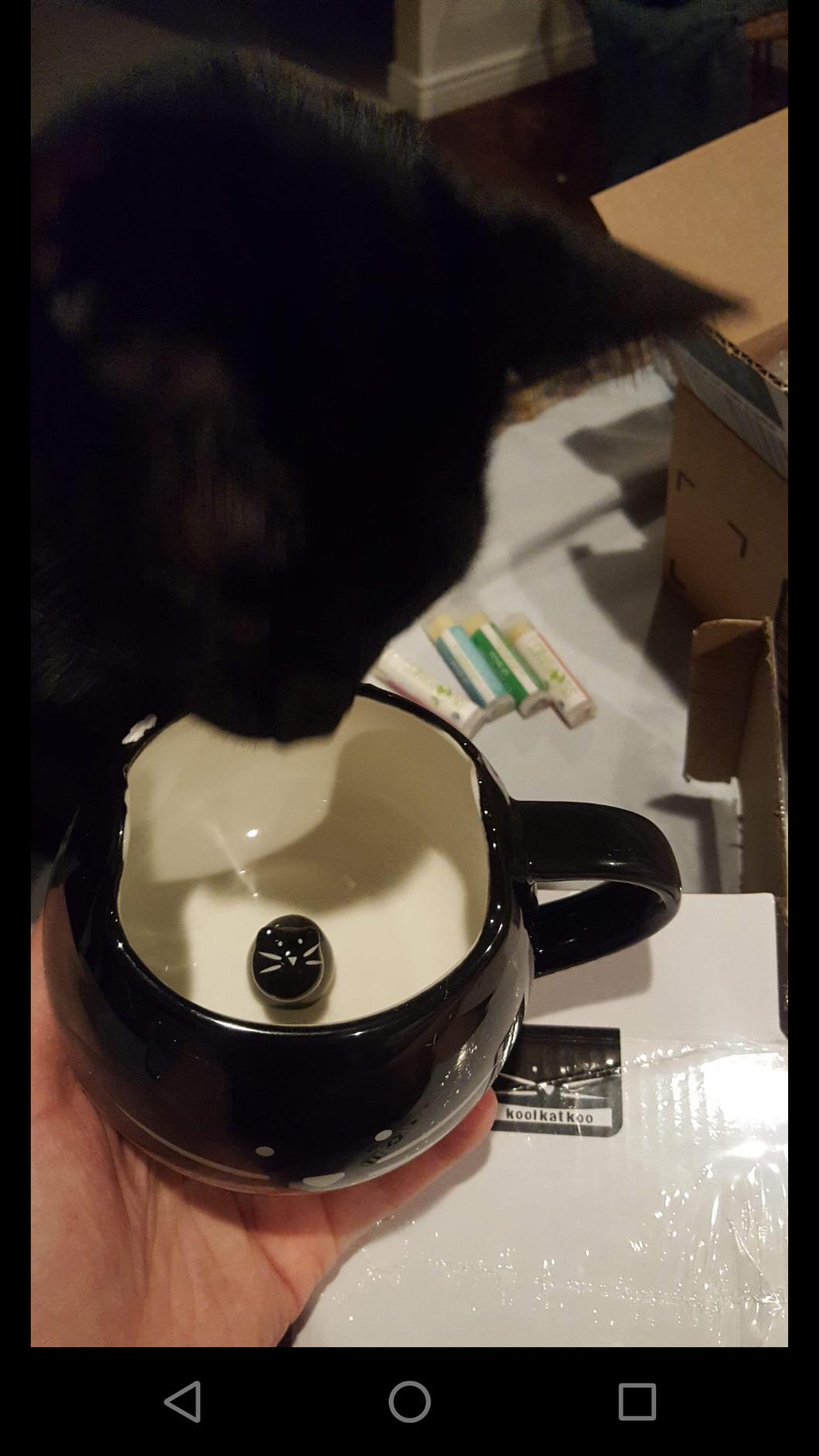 Koolkatkoo Cute Ceramic Cat Coffee Mug 12 oz Cat Lovers Kitty Tea Mugs customer photo 2