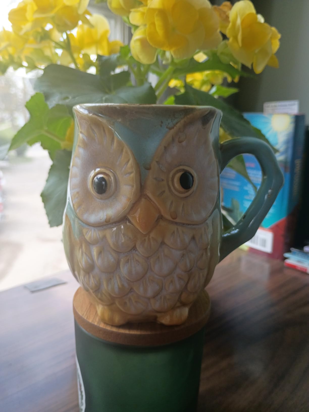 burton + BURTON Blue/Green Wise Owl Mug, 12oz Textured Porcelain Coffee Cup - Cute Animal Gift for Owl Lovers customer photo 1