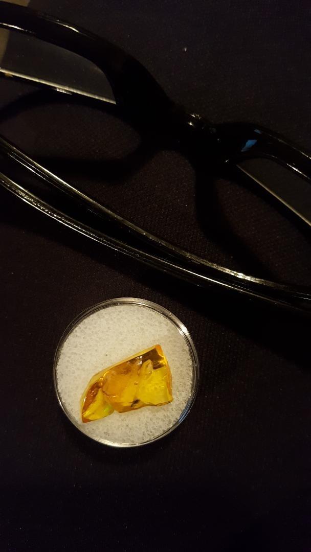 Genuine Fossil Baltic Amber Resin with Insect Inclusion from Lithuania with Free Magnifying Glass, Acrylic Display Stand, Fact Sheet & COA Bundle customer photo 1