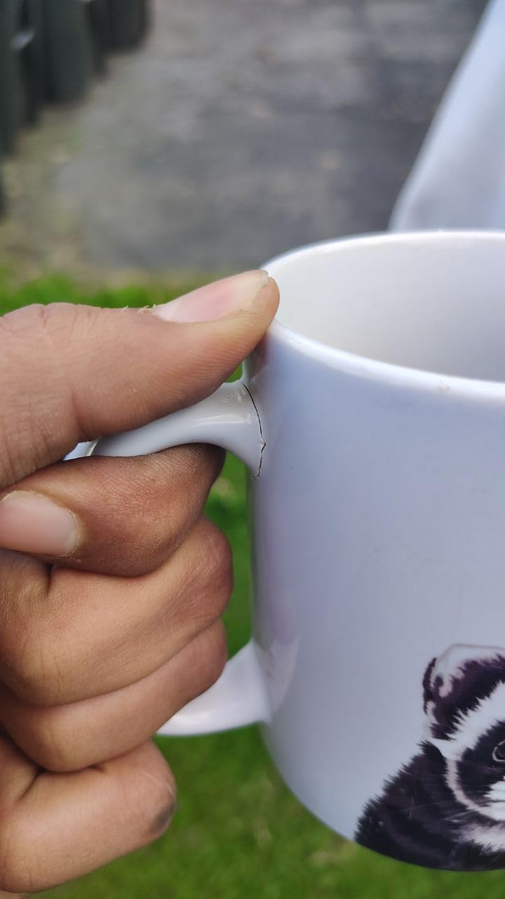 MUGBREW Cute Animal Cockatiel Bird Ceramic Coffee Mug Tea Cup, 11 OZ customer photo 1
