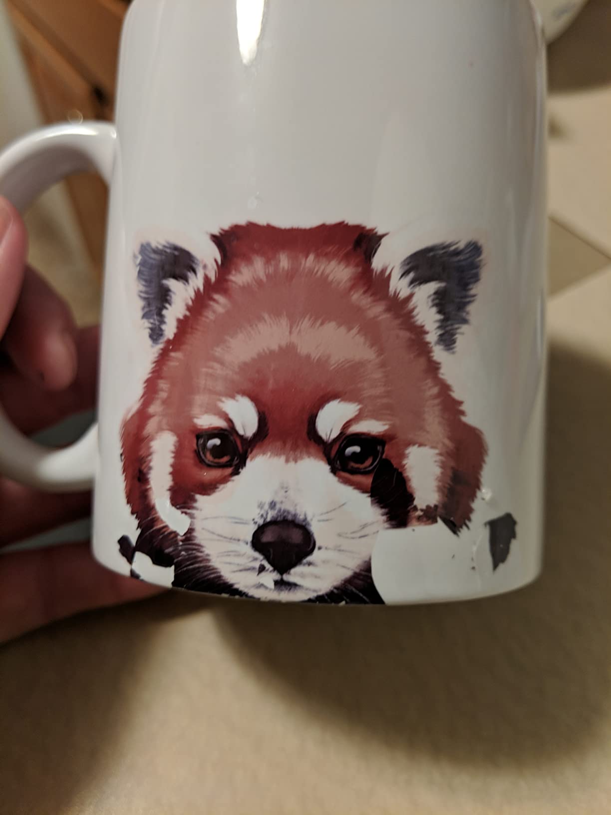 MUGBREW Cute Animal Cockatiel Bird Ceramic Coffee Mug Tea Cup, 11 OZ customer photo 2