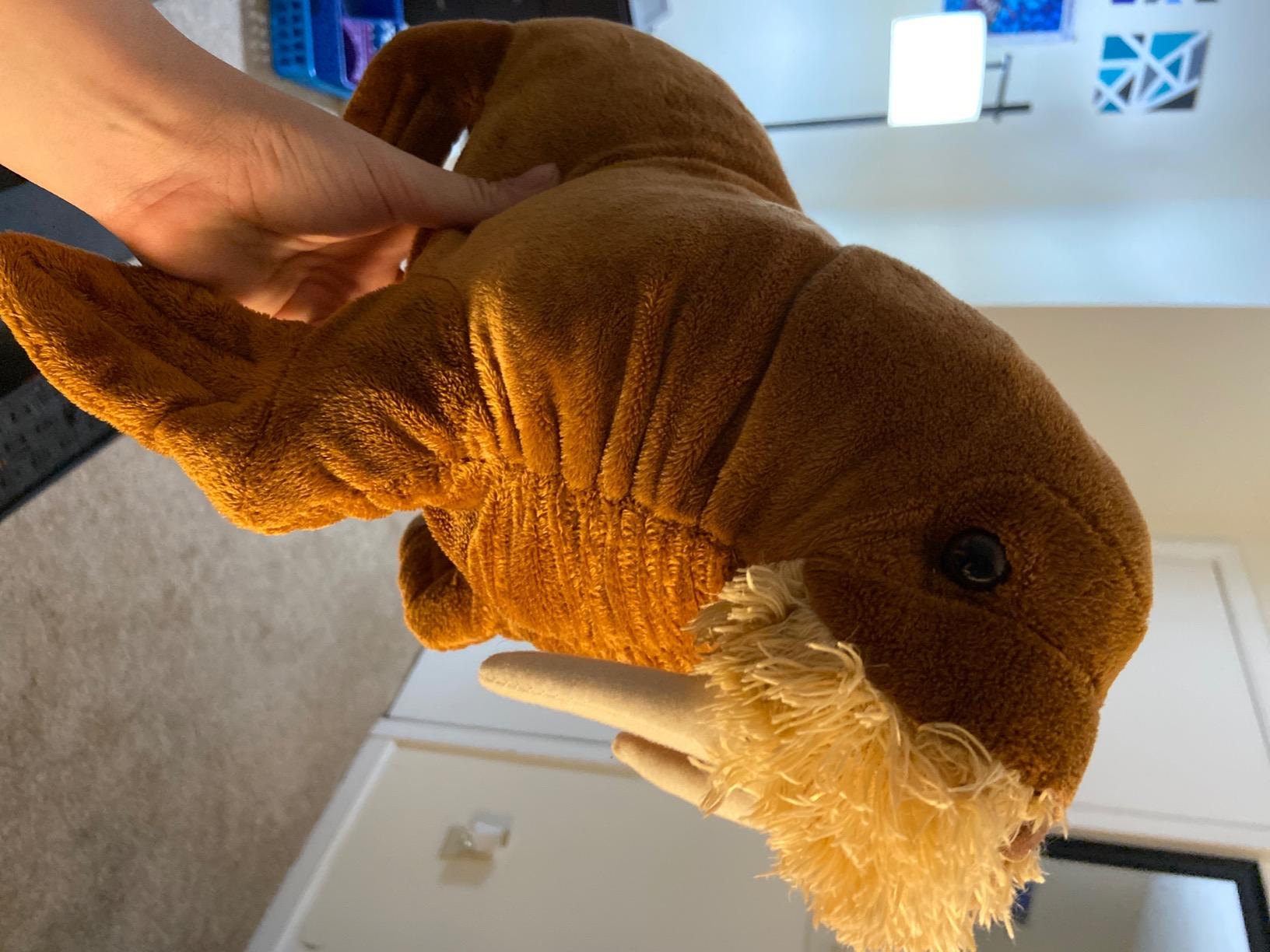Wild Republic Walrus Plush, Stuffed Animal, Plush Toy, Gifts for Kids, Cuddlekins 12 Inches customer photo 1