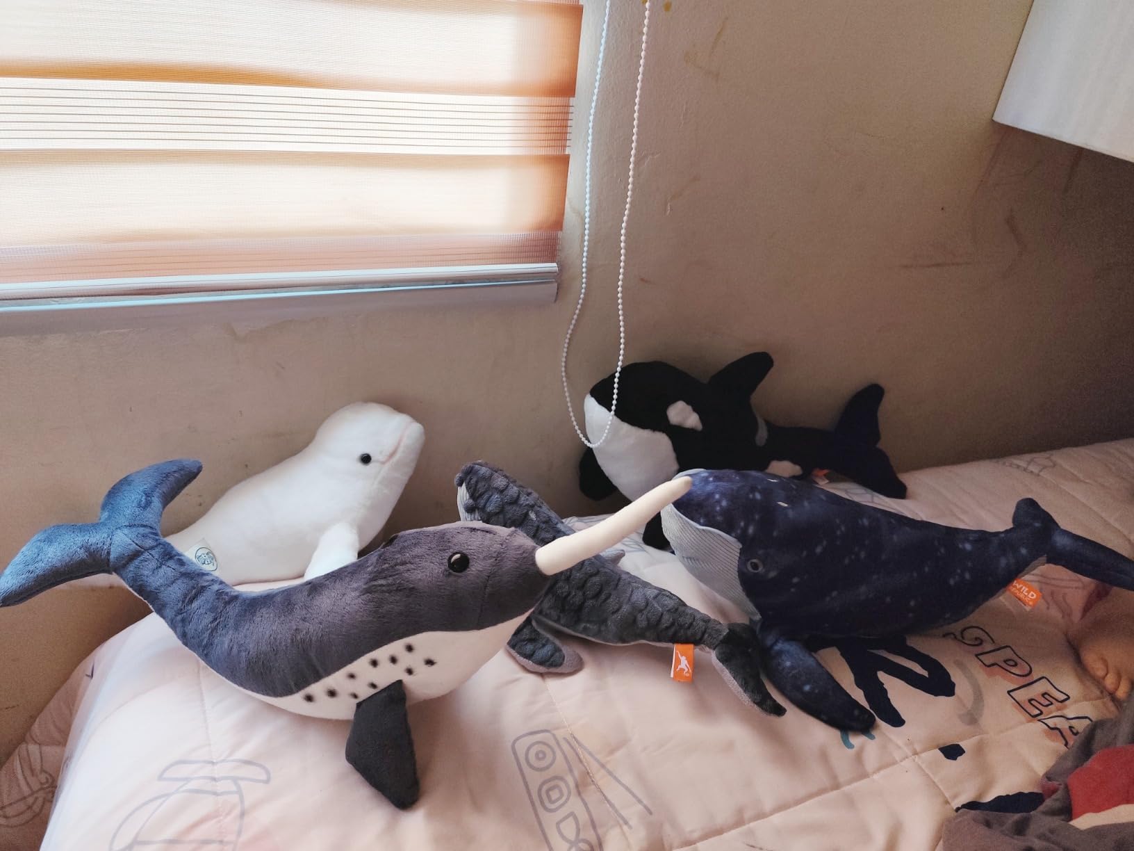 Wild Republic Humpback Whale Plush, Stuffed Animal, Plush Toy, Gifts for Kids, Cuddlekins, 13 Inches customer photo 1