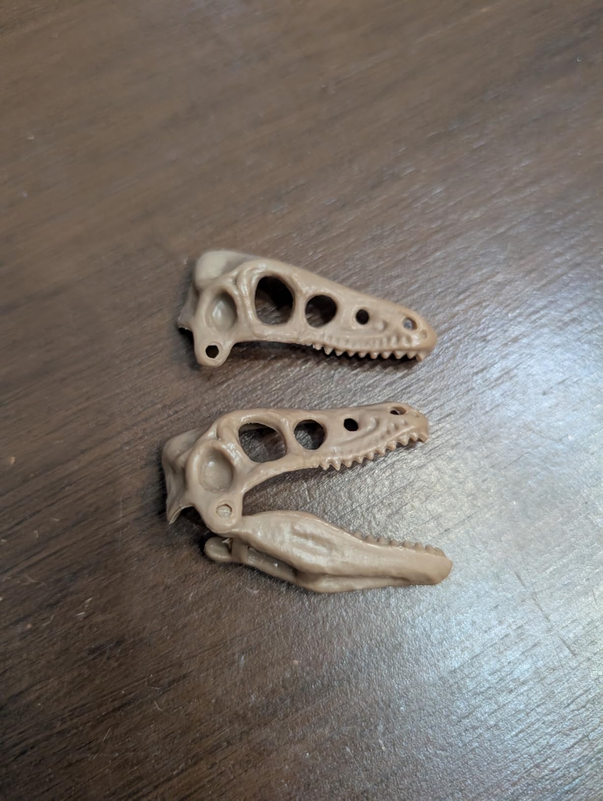 Discovery Dinosaur Fossil Dig Kit - Excavate & Assemble T-Rex & Velociraptor Skeletons | 3D Dino Bones Puzzles | Jurassic Paleontology Toy for Kids | STEM Science Activity Set | Girls & Boys Gift Ages 6+ customer photo 2
