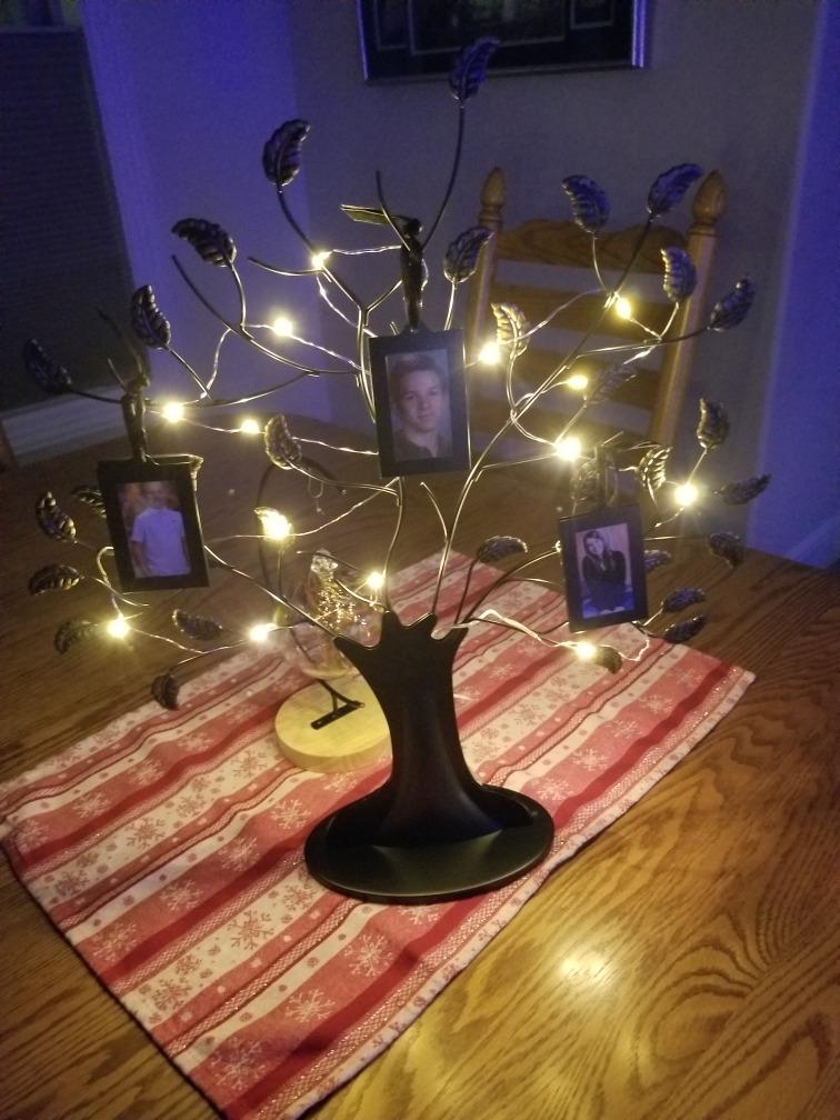 Americanflat Family Tree Picture Frame - Includes 12 Hanging 2x3 Picture Frames - Adjustable Ribbon Tassels - Ideal as Mother's Day Gifts or Christmas Decor - Black and Bronze customer photo 1