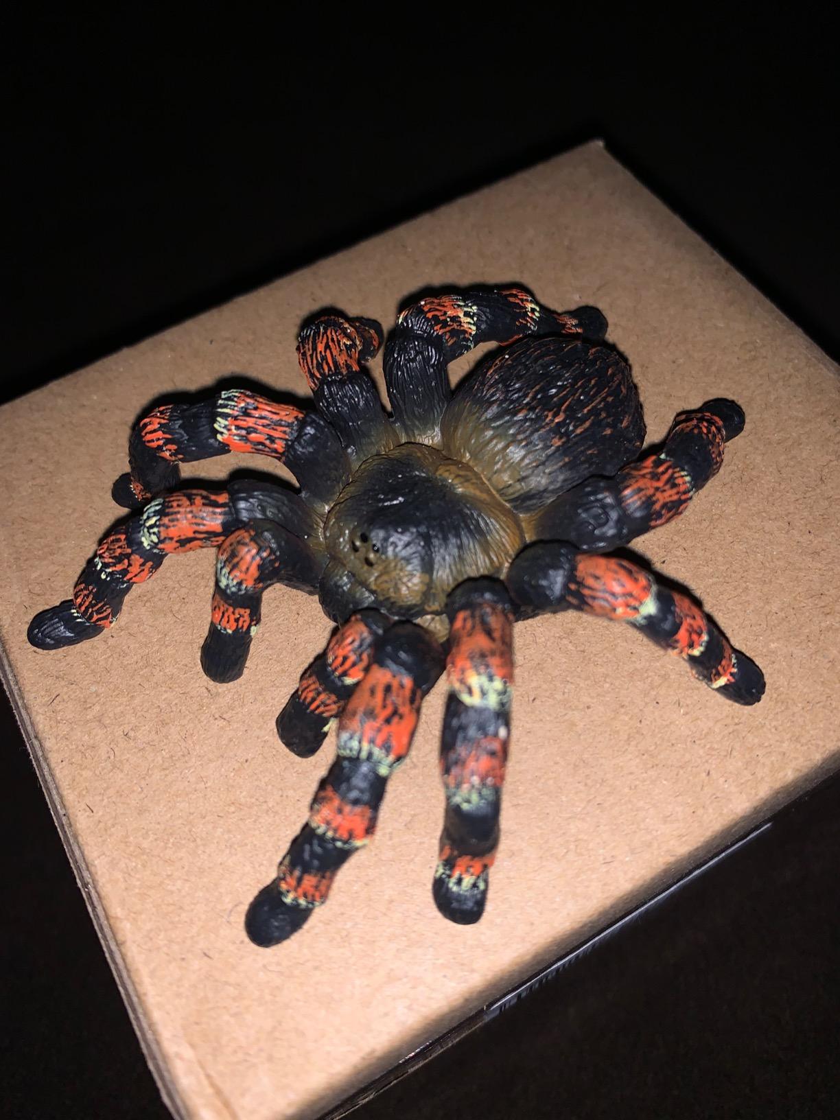 Schleich Wild Life - Tarantula Toy Spider Figurine - Kids Ages 3+ | 14829 | Wild Animal Figurine, Realistic Animal Toys customer photo 1