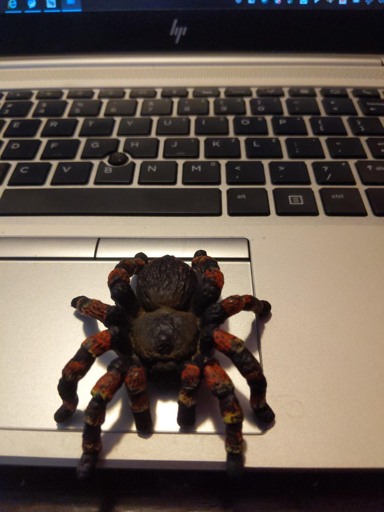 Schleich Wild Life - Tarantula Toy Spider Figurine - Kids Ages 3+ | 14829 | Wild Animal Figurine, Realistic Animal Toys customer photo 2