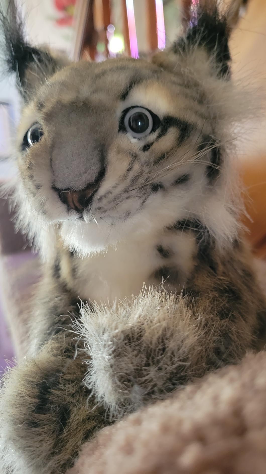 Hansa Lynx Cub - Realistic Plush Stuffed Animal customer photo 1