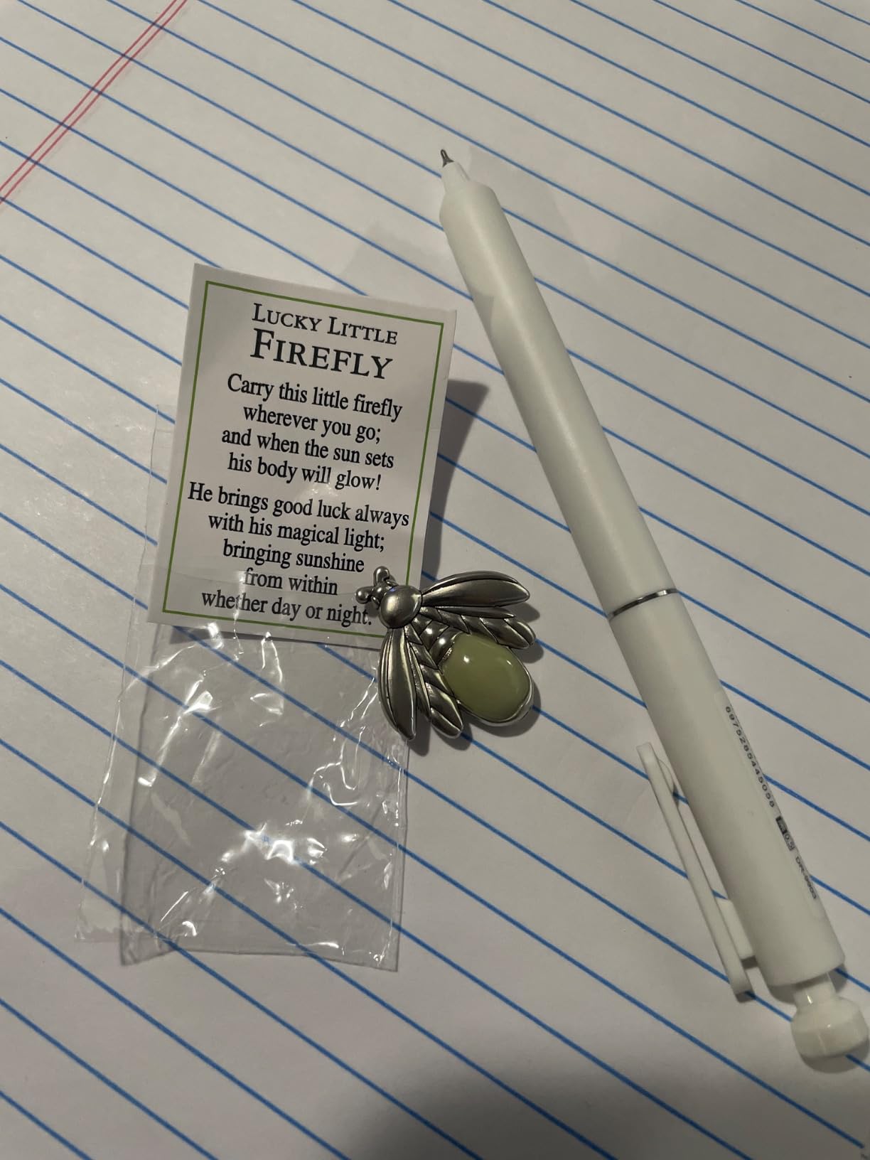 Ganz Lucky Little Firefly Token Charm Glow in The Dark customer photo 1