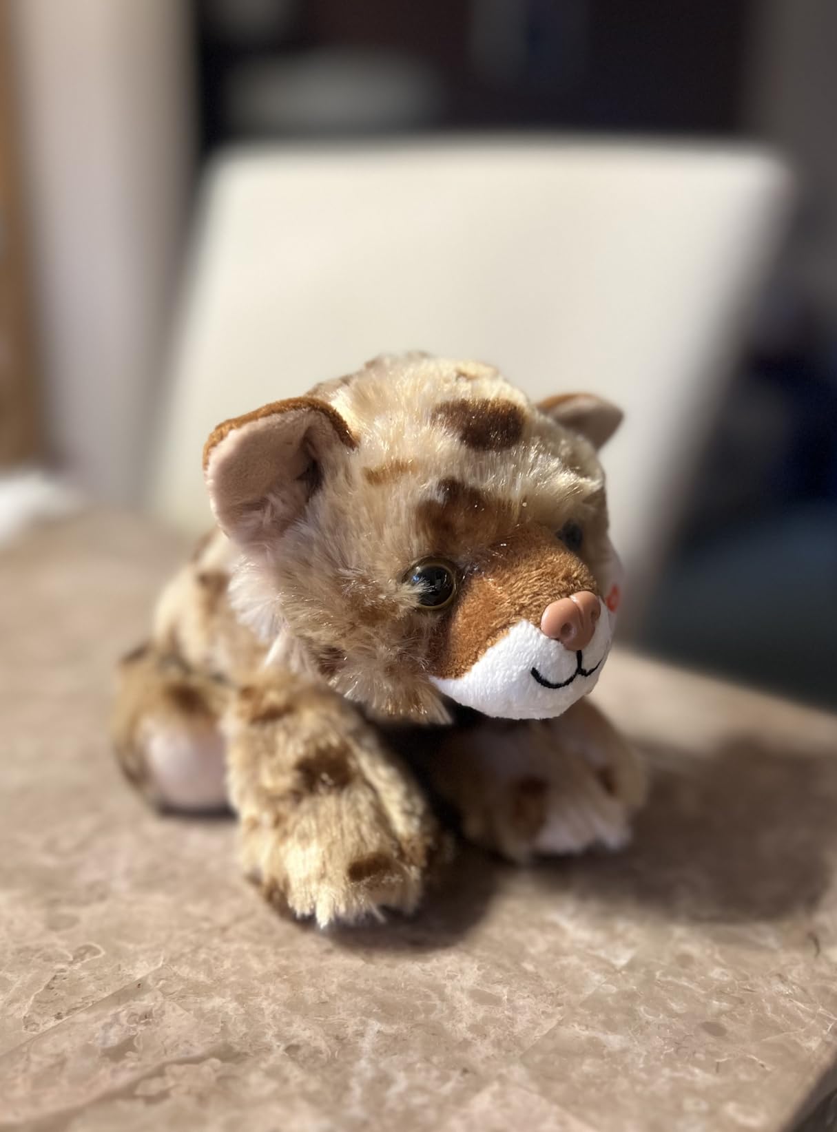 Wild Republic Hug'EMS Bobcat Plush Stuffed Animal, 7-Inch customer photo 2