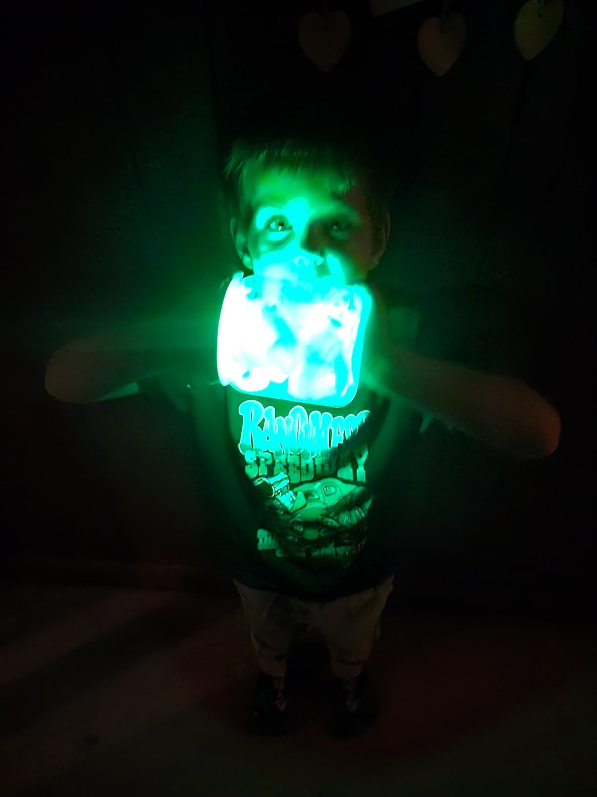 Toysmith Chasing Fireflies Light Up Bug Catching Game Indoor Outdoor | Includes 2 Jars, 10 Glowing Insects, Batteries, Shine & Seek Activity Movement, Teamwork, Parties, Sleepovers, Ages 3+ customer photo 2
