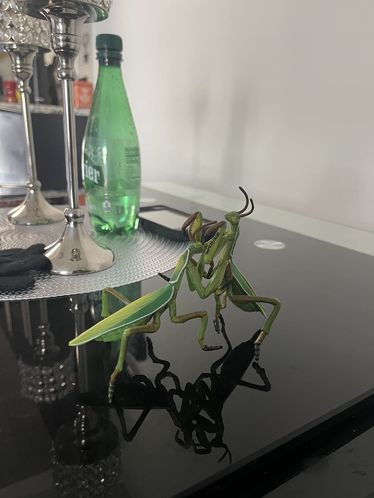 Papo - Praying Mantis Figure - 3 Years + customer photo 1
