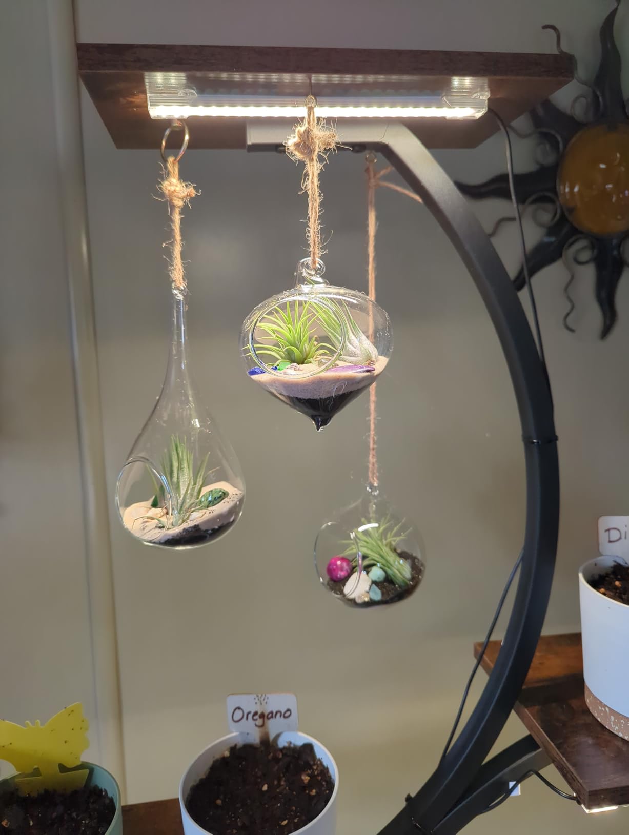 Mkono 3 Pack Air Plant Holder, Glass Hanging Planter Terrarium Globe Hanger | for Indoor Live Fern Succulent, Unique Display Jar, Home Office Christmas Holiday Decor, Plant Lover Gift, Airplant Excluded customer photo 1