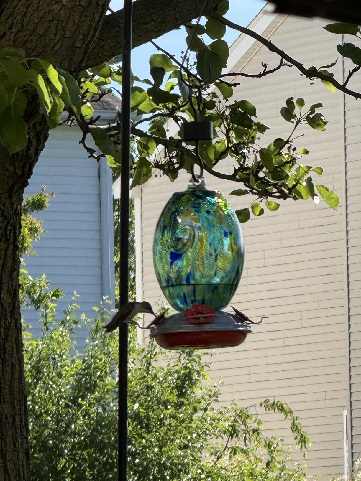 Muse Garden Gifts for Women Mom, Hummingbird Feeder, 27OZ, Blue Fireworks | Muse Garden Glass Humming Bird Feeders for Outdoors - 27OZ Blown Glass Hummingbird Feeder - Unique Gift Mom Women customer photo 1