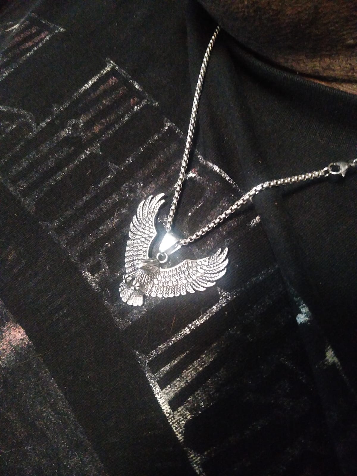 Men's Eagle Wings Pendant Necklace, Stainless Steel Chain, Gothic Punk Rock Hip Hop Biker Jewelry for Men, Animal Fashion Mens Necklace customer photo 2