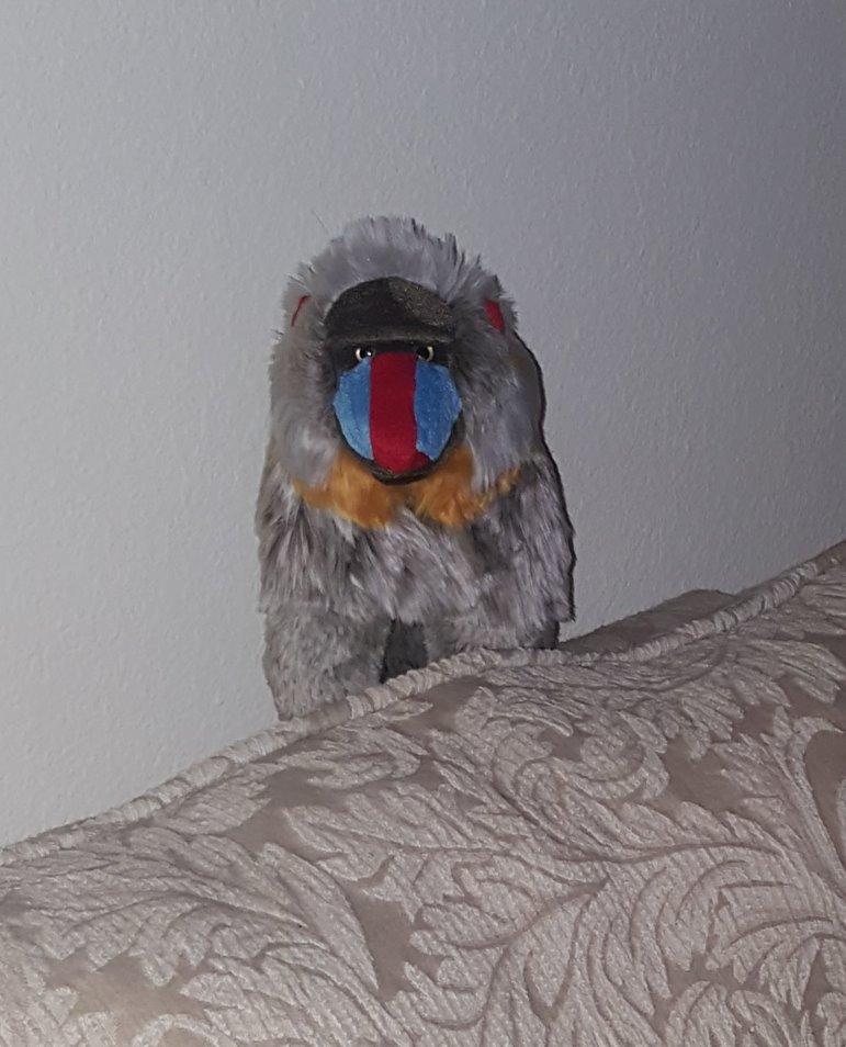 TigerHart Mambo The Mandrill - 10.5 Inch Stuffed Animal Plush Baboon customer photo 1