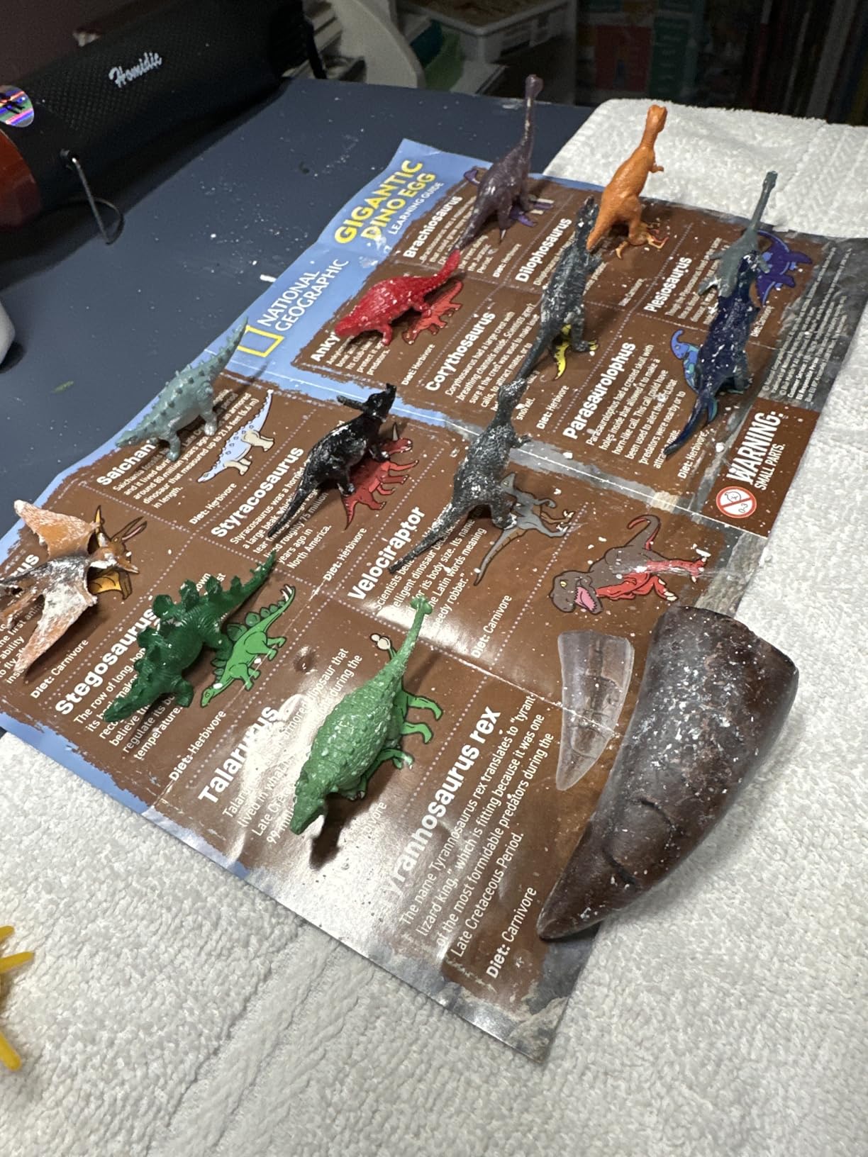 National Geographic Dinosaur Dig Kit with 12 Dino Eggs for Kids | 12 Dino-Shaped Dig Bricks, Dinosaur Figures Inside, Excavation Tools, Party Activity, Fossil Discovery, Birthday Gift customer photo 1