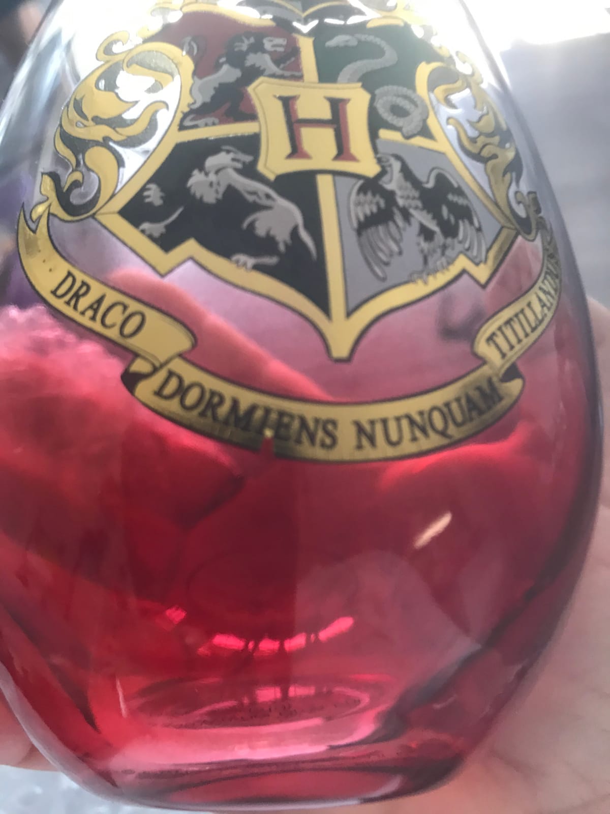 Spoontiques DC Comics Stemless Wine Glass, 20oz - Lidless Drink Tumbler for Cold Beverages - Wonder Woman customer photo 1