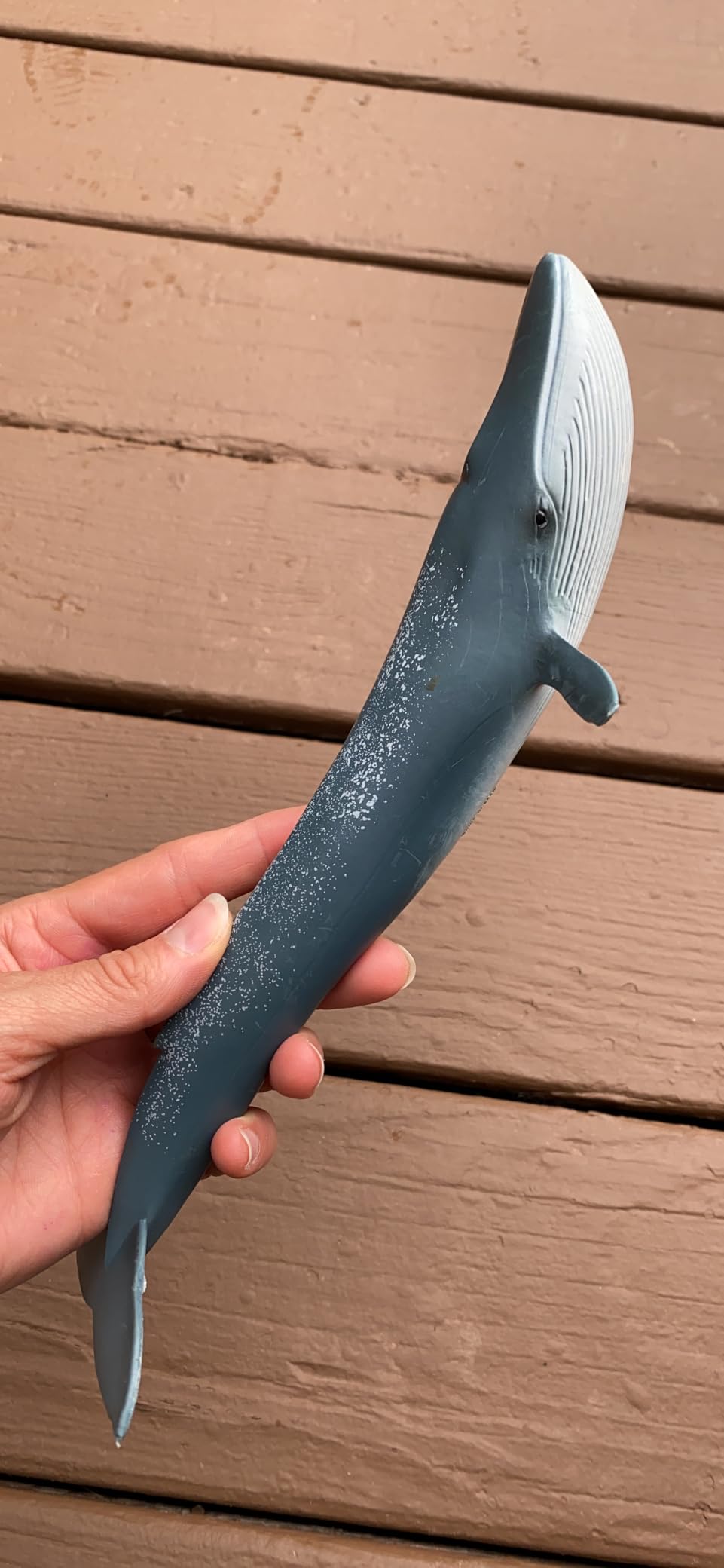 Schleich Wild Life - Hammerhead Shark Toy Figurine - Kids Ages 3+ | 14835 customer photo 1