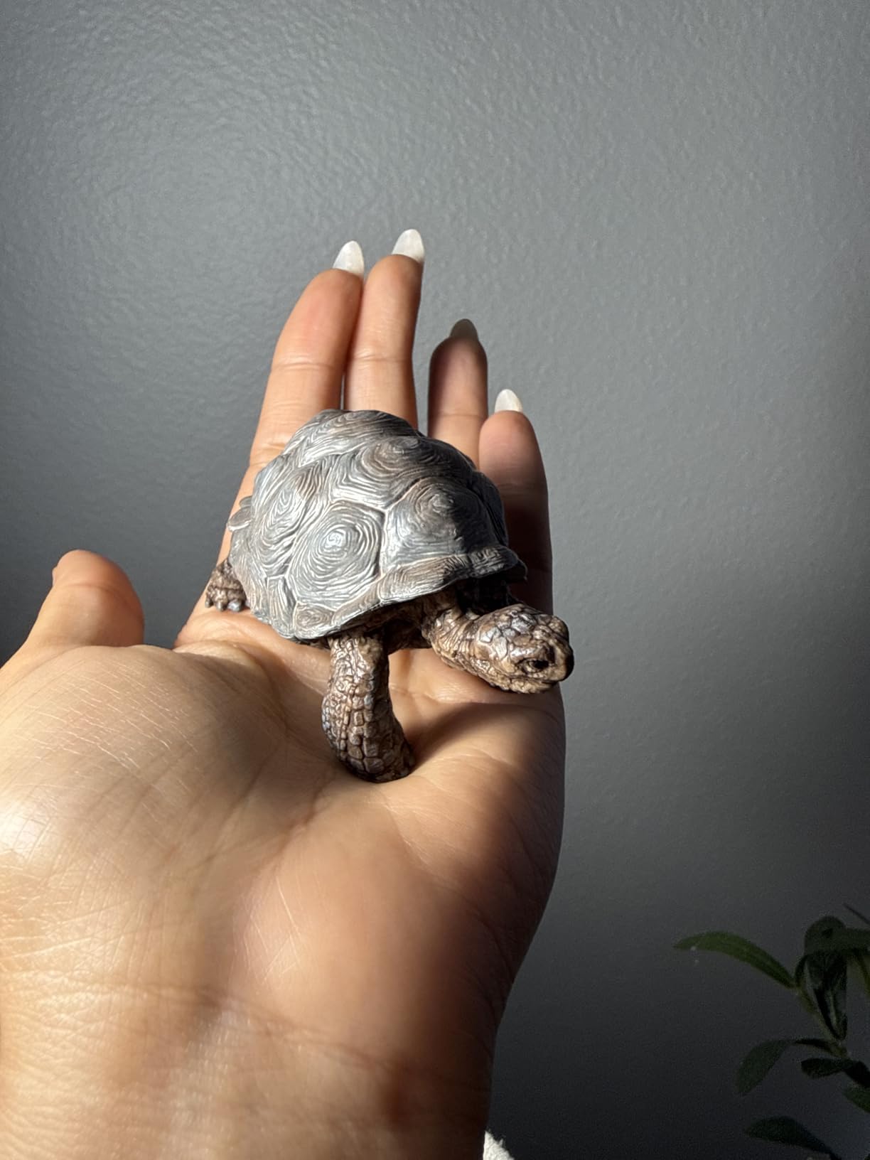 Schleich Wild Life - 3
