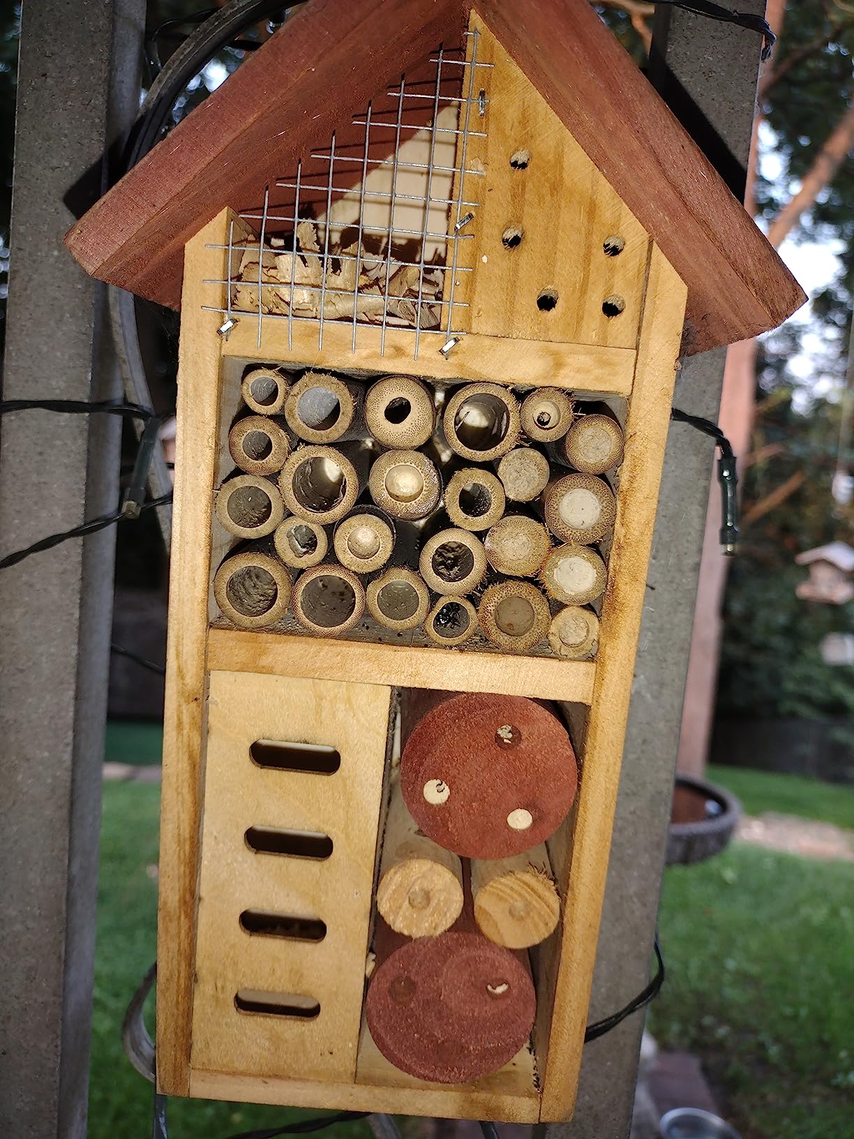 Lulu Home Wooden Insect House, Hanging Insect Hotel for Bee, Butterfly, Ladybirds, Beneficial Insect Habitat, Bug Hotel Garden, 10.4 X 3.4 X 5.4 Inch customer photo 1