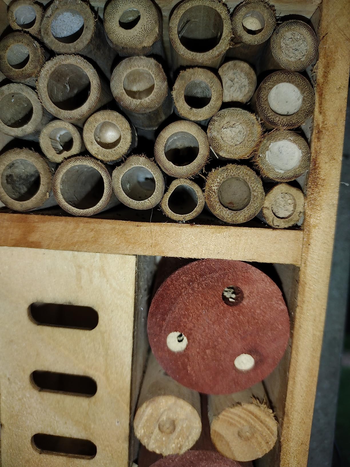 Lulu Home Wooden Insect House, Hanging Insect Hotel for Bee, Butterfly, Ladybirds, Beneficial Insect Habitat, Bug Hotel Garden, 10.4 X 3.4 X 5.4 Inch customer photo 2
