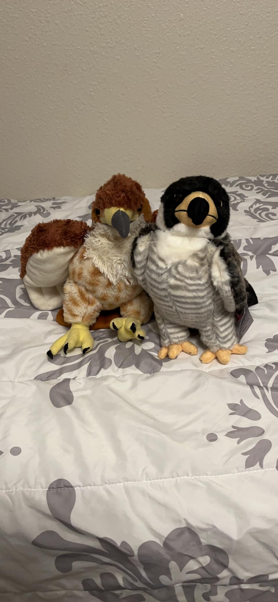 Douglas Houston Peregrine Falcon Plush Stuffed Animal customer photo 1
