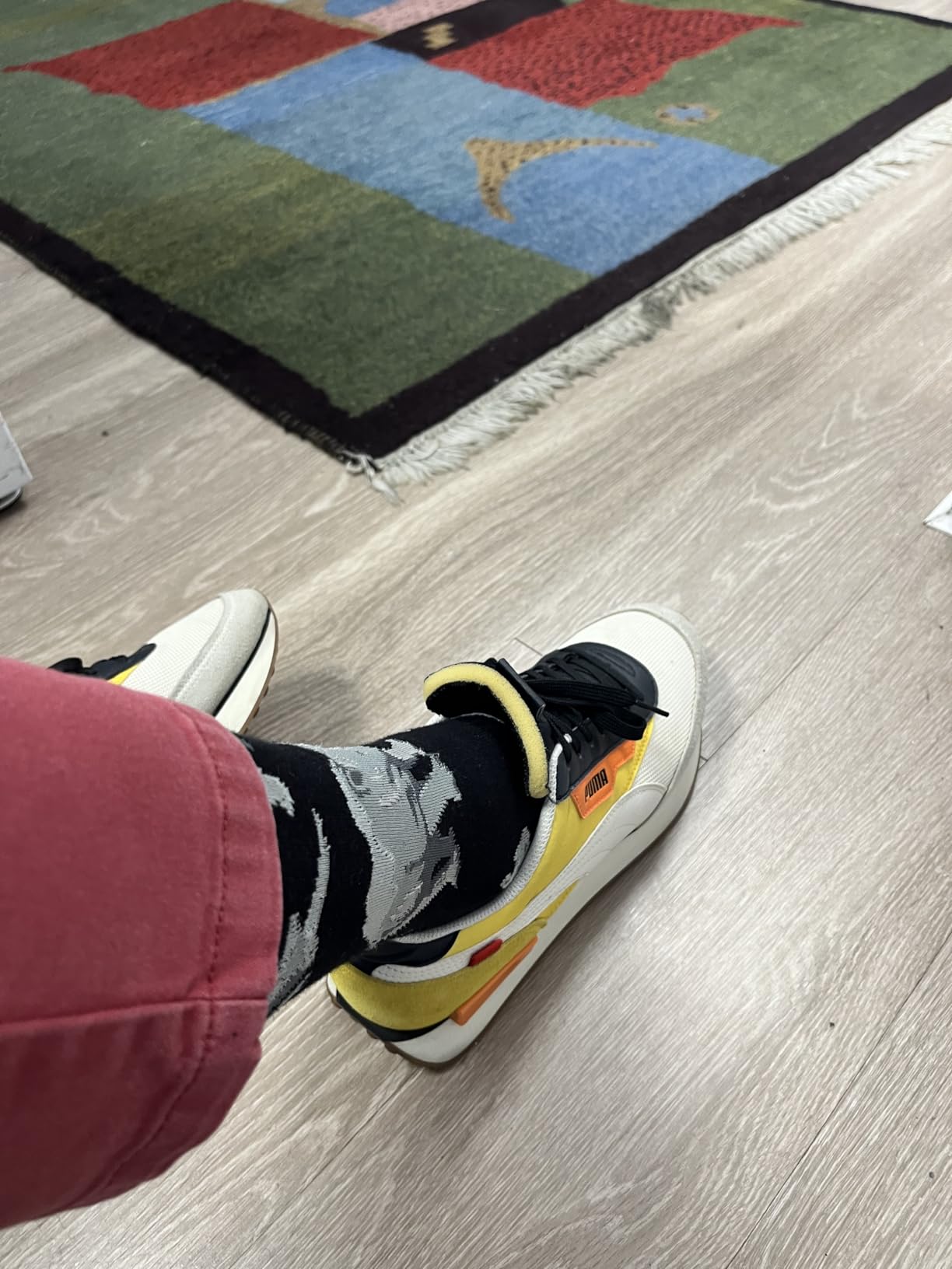 Animal and Nature Socks - Novelty Gifts for Wildlife Lovers customer photo 1