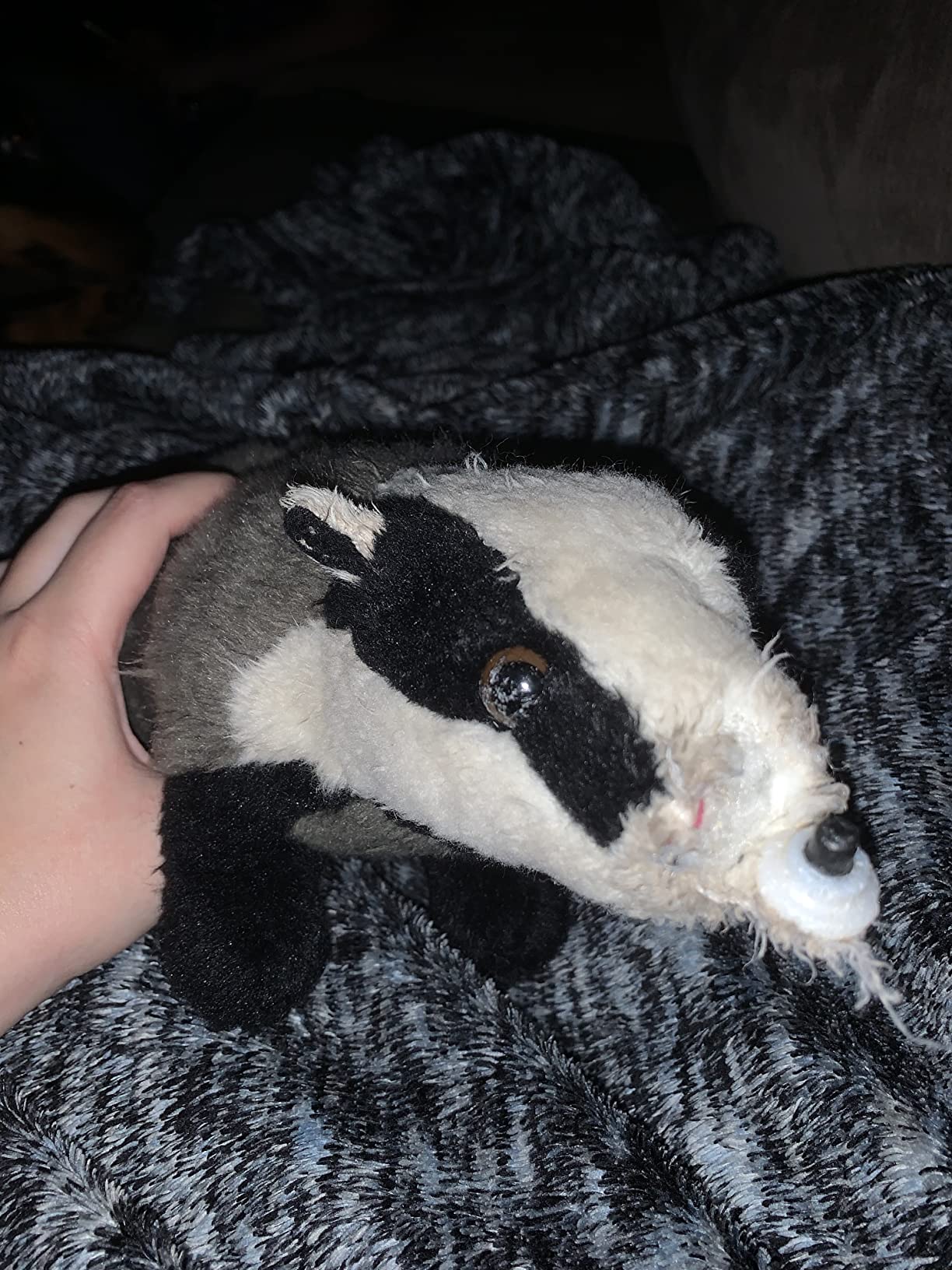 TAMMYFLYFLY Stuffed Toy 10 Inch Badger Plush Stuffed Animal (28cm) customer photo 2