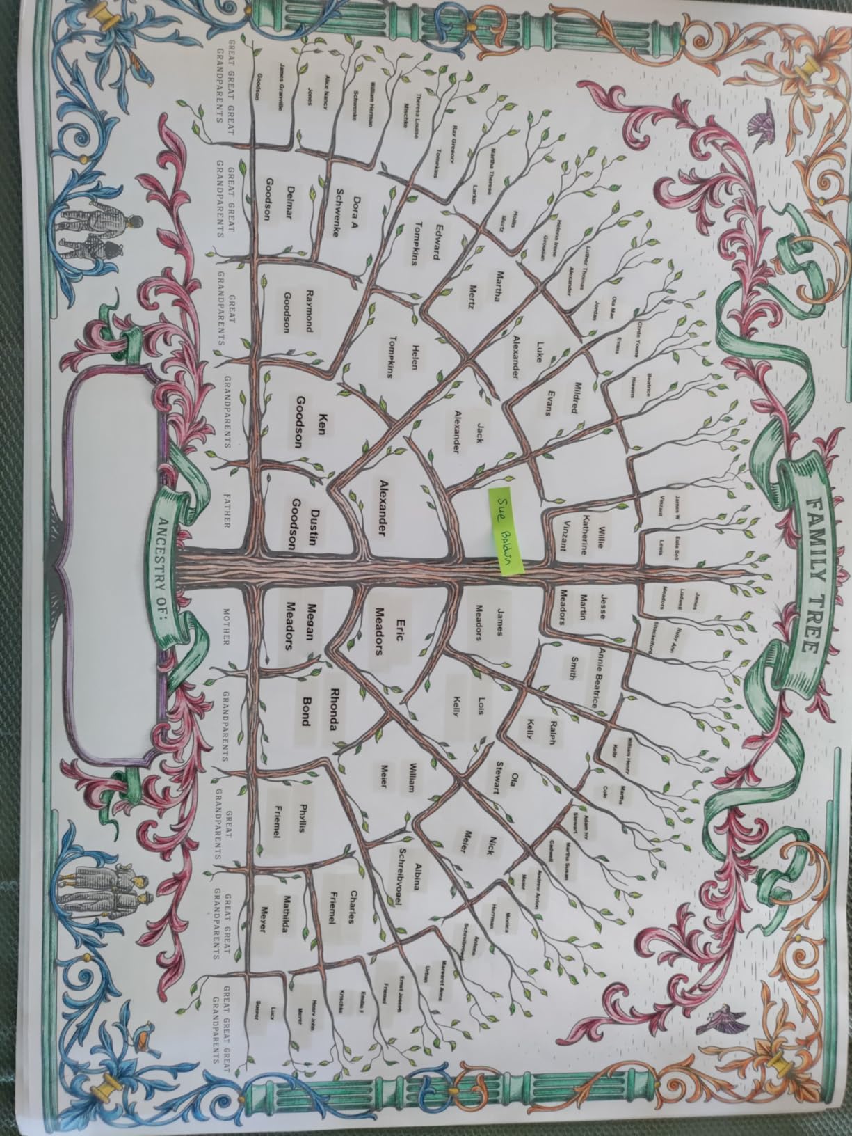 Palace Learning 3 Pack - Family Tree Chart To Fill In- 6 Generation Genealogy Poster - Blank Fillable Ancestry Chart [Version 1] (18