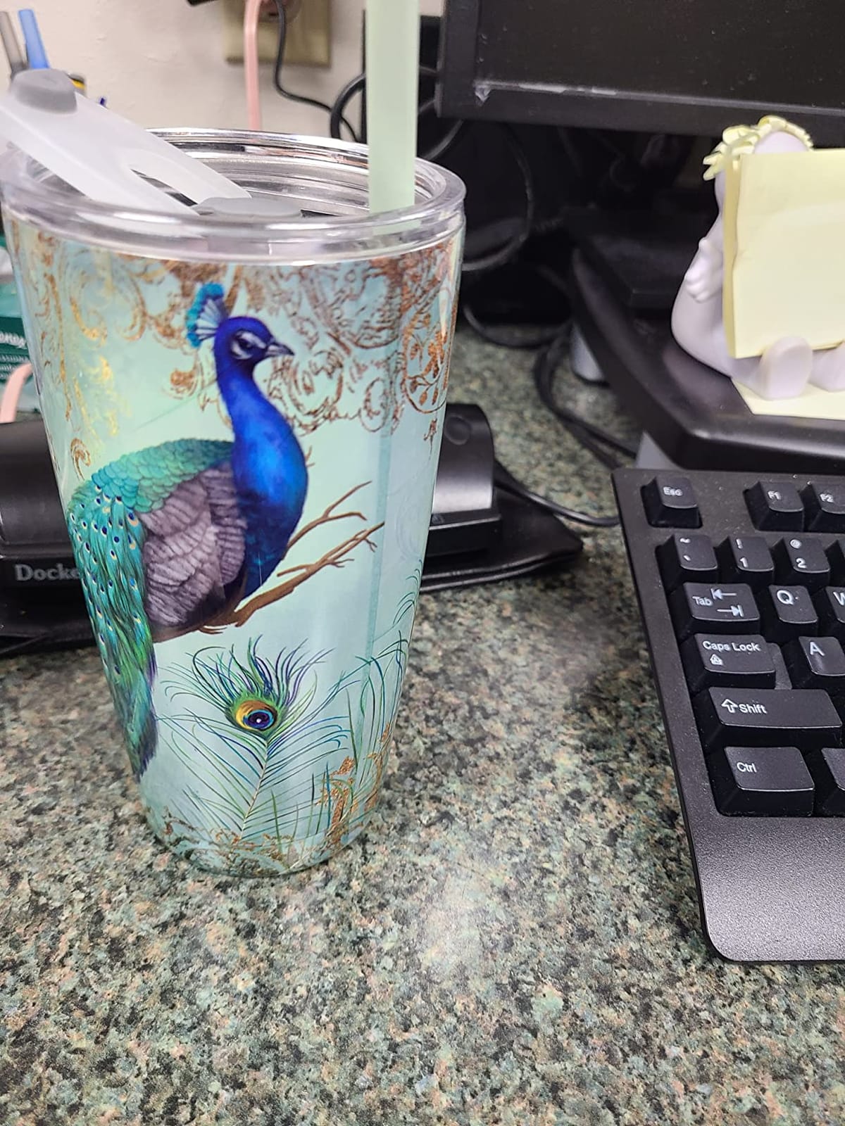 NymphFable 20 oz Peacock Insulated Stainless Steel Tumbler with Straw Lid | Cup Holder Friendly for Commutes, Leakproof, BPA Free, Double Wall Vacuum Keeps Drinks Cold & Hot, Elegant Gift for Women customer photo 1