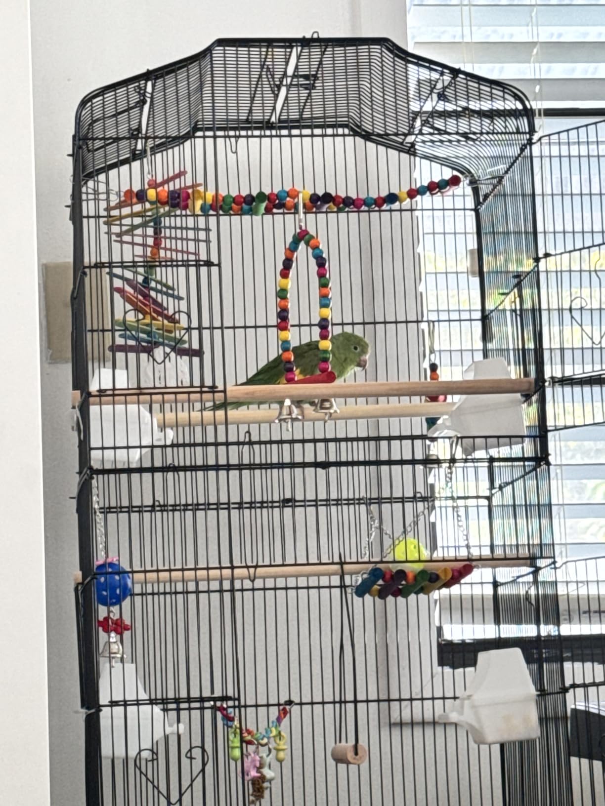 Bird Parakeet Toys - Swing Hanging Standing Chewing Hammock Climbing Ladder Bird Cage Colorful Toys Suitable for Budgerigar, Parakeet, Conure, Cockatiel, Mynah, Love Birds, Finches customer photo 2