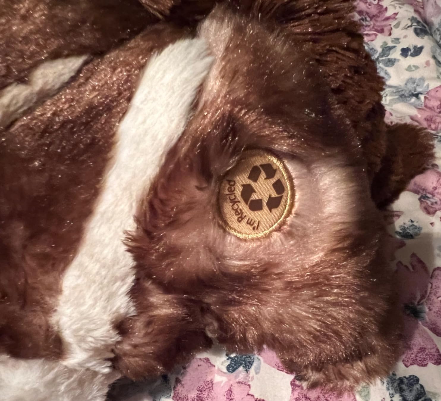 The Petting Zoo Anteater Stuffed Animal Plush, Wild Onez, Kids Gifts, 20 in customer photo 1