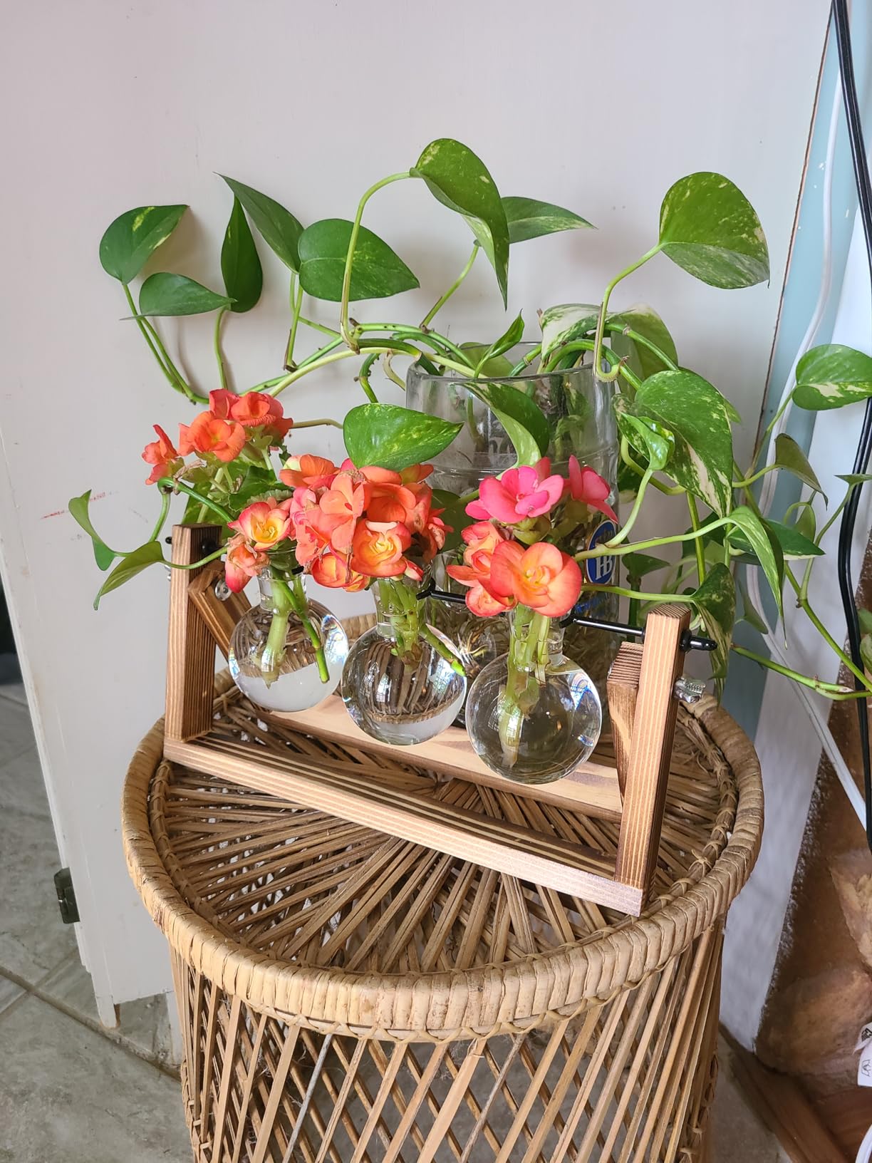 Renmxj Plant Propagation Station, Plant Terrarium with Wooden Stand | Unique Gardening Birthday Gifts for Women Plants Lovers, Home Office Garden Decor Planter - 3 Bulb Glass Vases customer photo 2