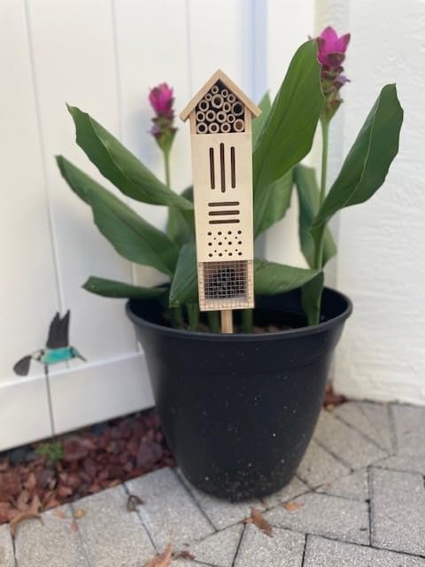 Wooden Insect House, Insect Hotel for Bugs, Bees, Butterflys, Ladybirds, Natural Beneficial Insect Habitat for Garden and Yard customer photo 2