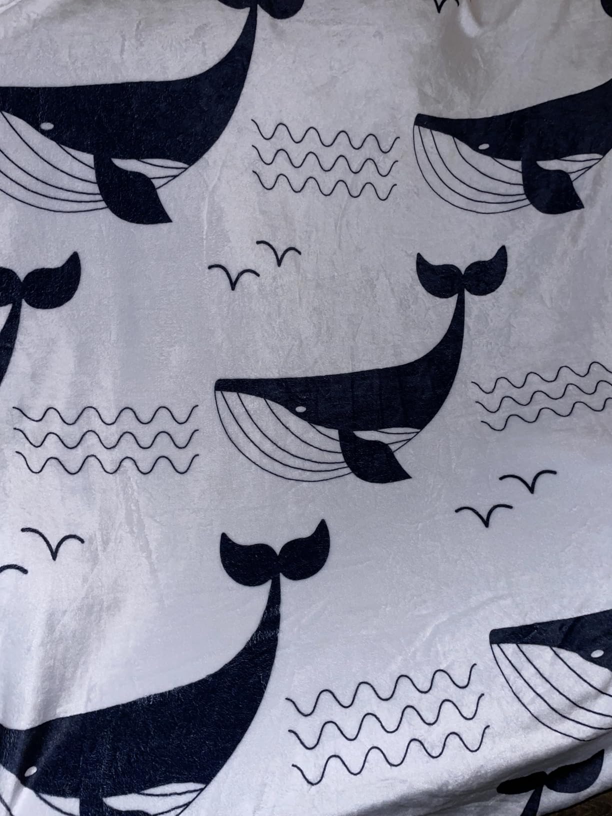 Whale Blanket, Whale Lover Gifts for Kids, Blue Whales Decor 48x60 Inch customer photo 1