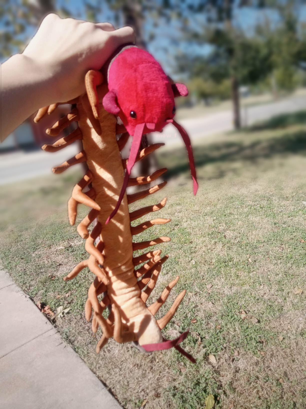 Centipede Plush - Lifelike 24' Centipede Stuffed Animal, Realistic Insect Plushie customer photo 1